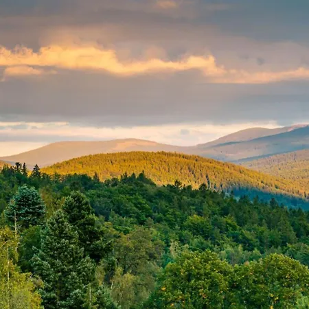 Hotel apartamentowy Happy Valley 4*