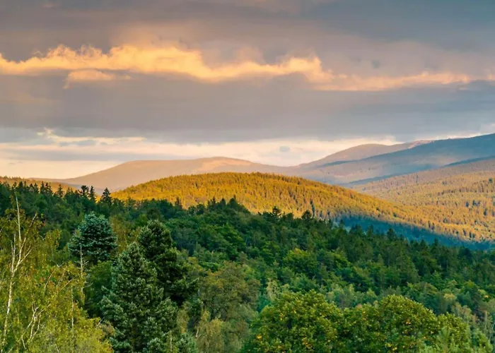 Hotel apartamentowy Happy Valley 4*